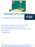 Botánica Económica
