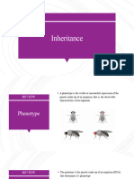 Genotypes and Dominance