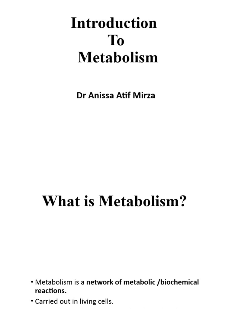 Introduction To Metabolism | PDF | Metabolic Pathway | Metabolism