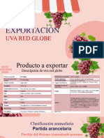Modelo PPT Exportacion de Uva Red Globe A Eeuu