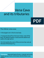 Inferior Vena Cava and Its Tributaries