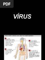 2­_ano_Virus