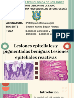 Lesiones Epiteliales y Pigmentadas Benignas