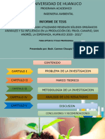 Diapositivas para Sustentacion Chaupis Tarazona Carmen