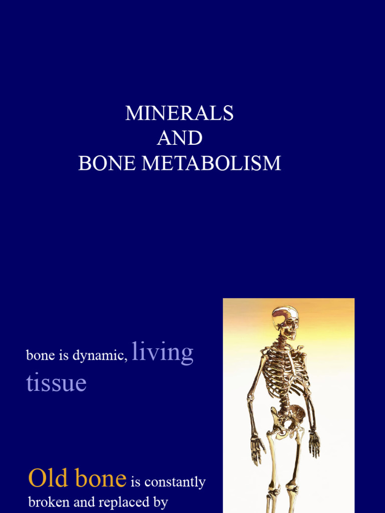 Minerals Bone Metabolism PDF Calcium Bone