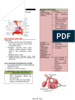 RESPI HANDOUT COMPLETE Anaphy Lower Respi Conditions