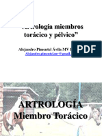 UPV Artrologia Miembro Toracico Pelvico