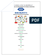 TEMA.-senati TERMINADO