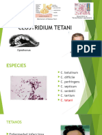 Clostridium Tetani Bacteriologia