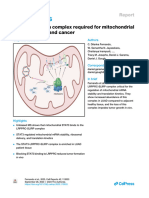 A STAT3 Protein Complex Required For Mitochondrial mRNA Stability and Cancer