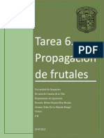 Tarea 6. Propagación de Frutales