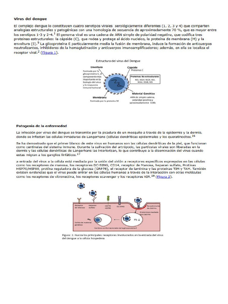 Sistema Inmune | PDF