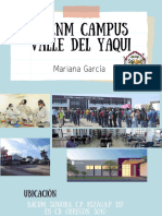 Orientación Vocacional Universidad