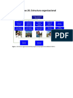 Anexo 20 Estructura Organizacional