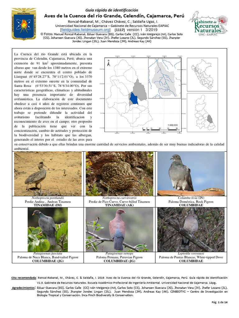 1117 Peru Birds of The Rio Grande Basin | PDF | Ornitología | Aves
