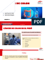 G4-Cancer de Colon