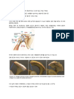 4.21 앰티캔 삼각근 운동