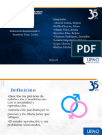 Ppts Seminario PDF