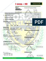 Semana 8 - Semejanza - Forza Iii