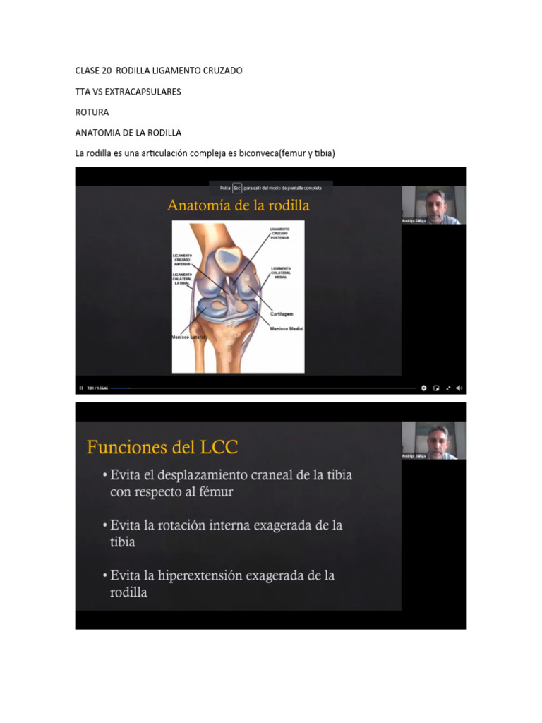 Lesiones de ligamentos en la rodilla | PDF | Rodilla | Articulaciones