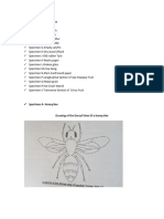 Biology Hand Out3 - Final