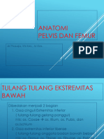 Anatomi Pelvis Dan Femur