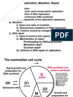 Dna Replication Lecture Notes 2011