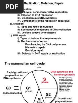 Dna Replication Lecture Notes 2011