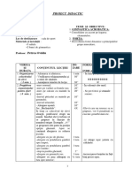 Proiect Didactic