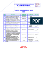 Plan Managerial Masuri