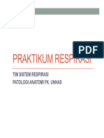 Praktikum Respirasi