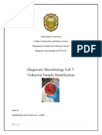 Dia. Microbiology Lab 7