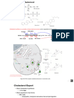 Overview of Metabolism