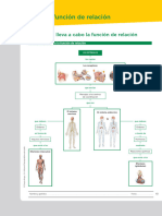 BG 3º Eso Ud5 La Función de Relación