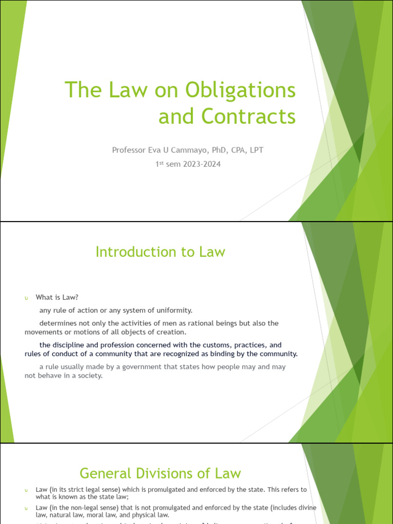 Overview of Law and Legal Principles | PDF | Tort | Statutory ...
