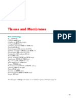 Study Guide Tissues and Membrane