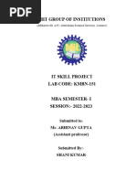 PDF Document