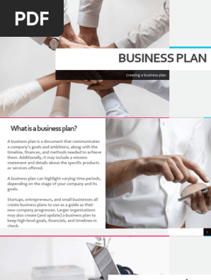 Business Plan