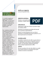 Proyecto Piñas Brix