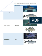 Ictiologia (espécies de peixes a saber identificar visualmente)