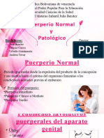 Puerperio Normal y Patologico - 062330