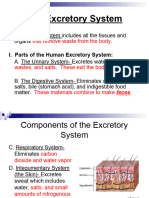 PDF Document 5