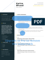 Karina Bhusal VisualCV Resume