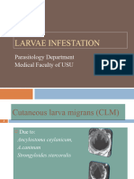 K4-Larvae Infestation