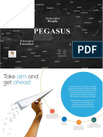 Pegasus Brochure 1