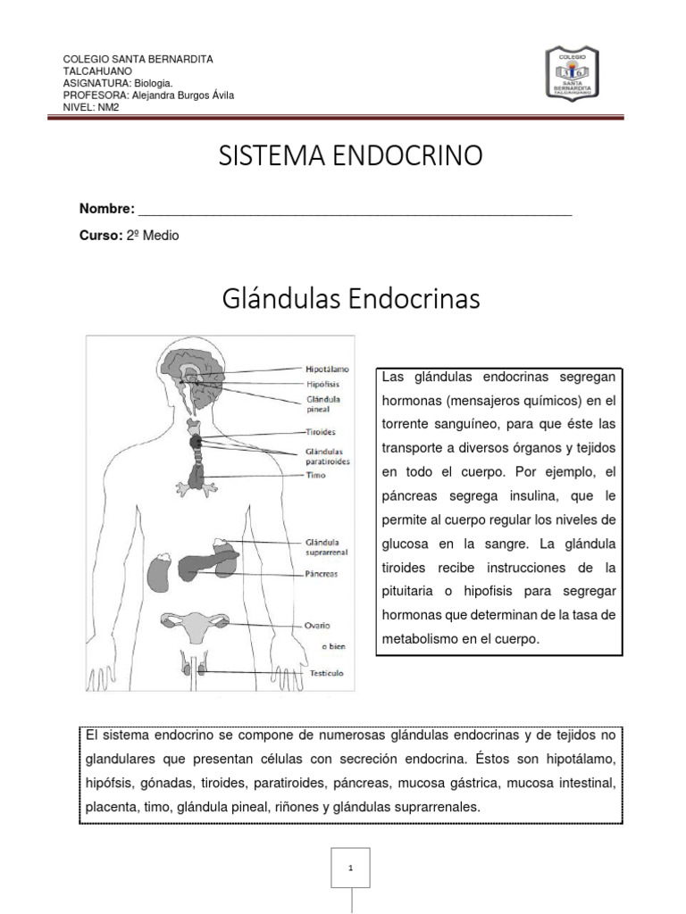 Guia glandulas endocrinas y regulacion hormonal nm2 biologia pdf
