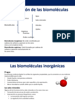 Biomoleculas Orgánicas