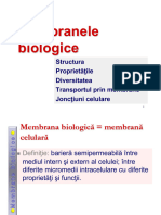 Membrane - 2023 24 83686