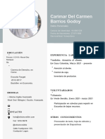 CV Curriculum Hombre Simple Gris 1