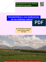 1-2. Caracteristicas y Sus Implicancias de Los Sistemas Radiculares